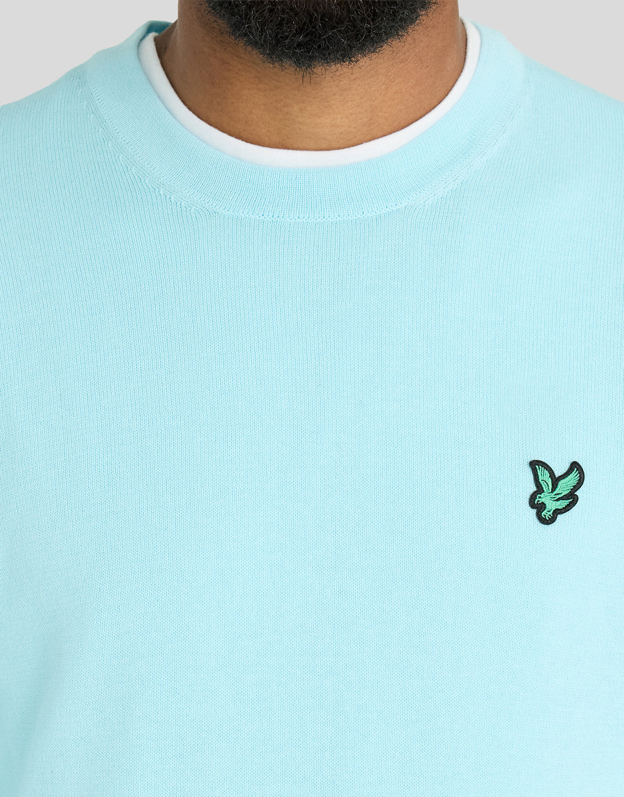 Mann trägt ein „Green Eagle“-Sweatshirt mit Rundhalsausschnitt aus Baumwollmischgewebe in der Farbe „Sea Breeze Blue“