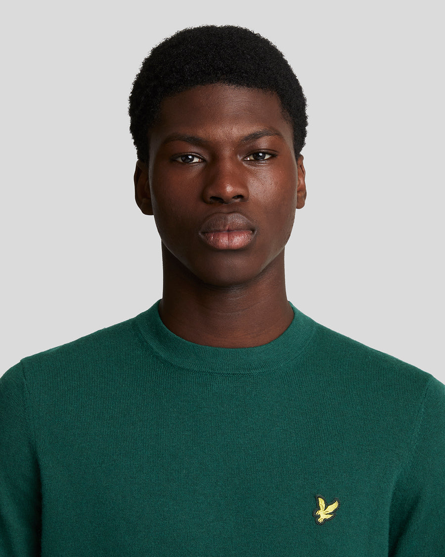 Pull à col rond en coton et laine mérinos pour homme, vert foncé