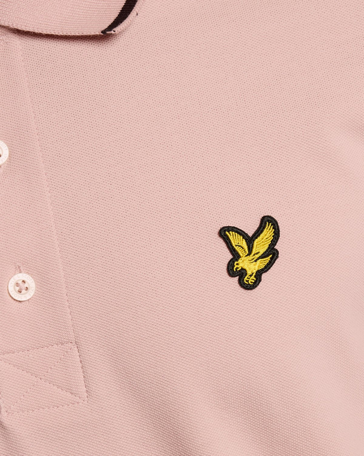Homme portant un polo à rayures rose pamplemousse et bleu marine foncé