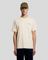 Man draagt een katoenen T-shirt met ronde hals en Script-logo in de kleur Ice Cream Marl