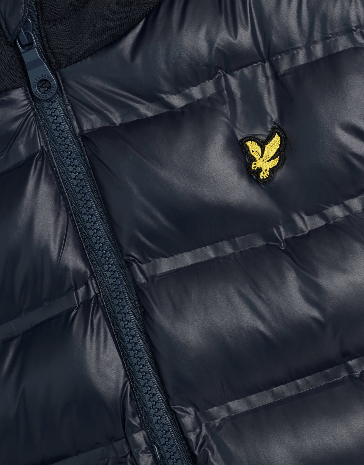 #vestes# - #lyle_and_scott#