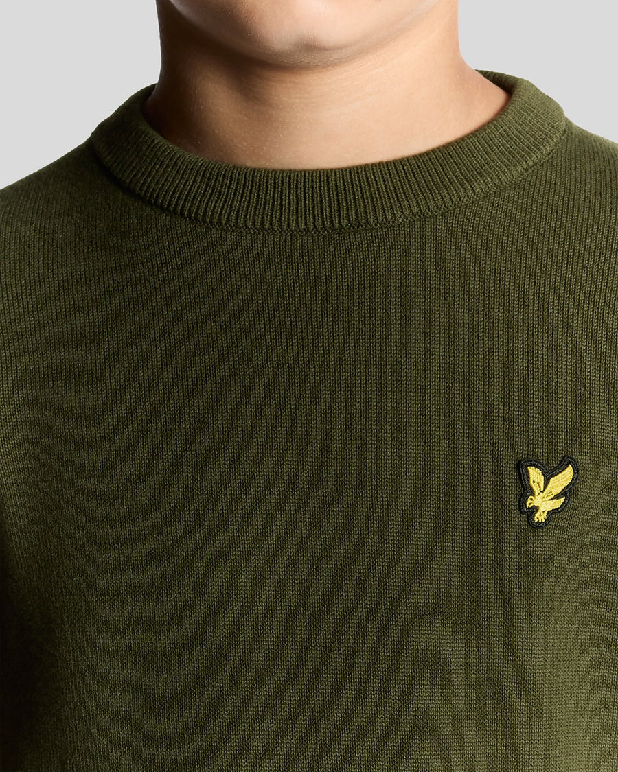 Boy wears Cotton Crew Neck Jumper in Deep Depths