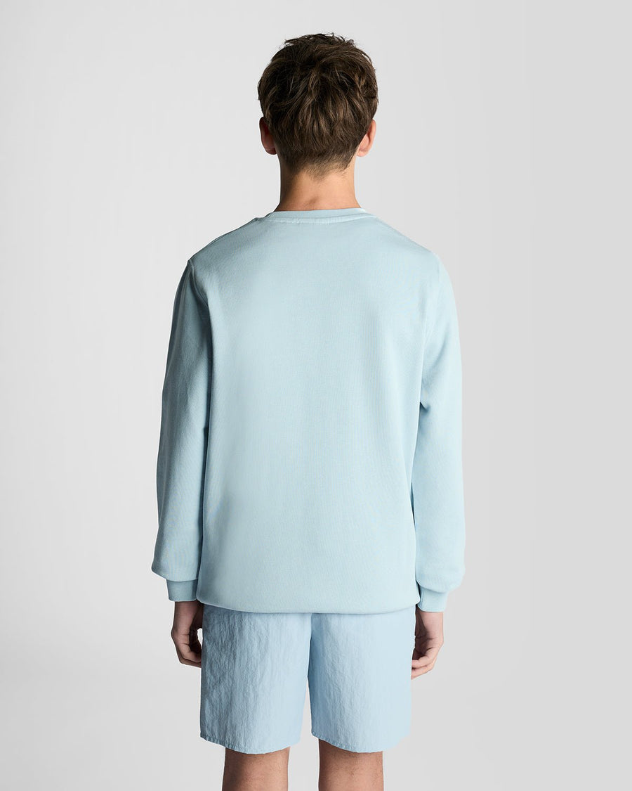 Homme portant un sweat-shirt à col rond en coton bleu opale