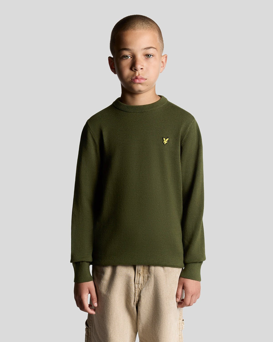 Boy wears Cotton Crew Neck Jumper in Deep Depths