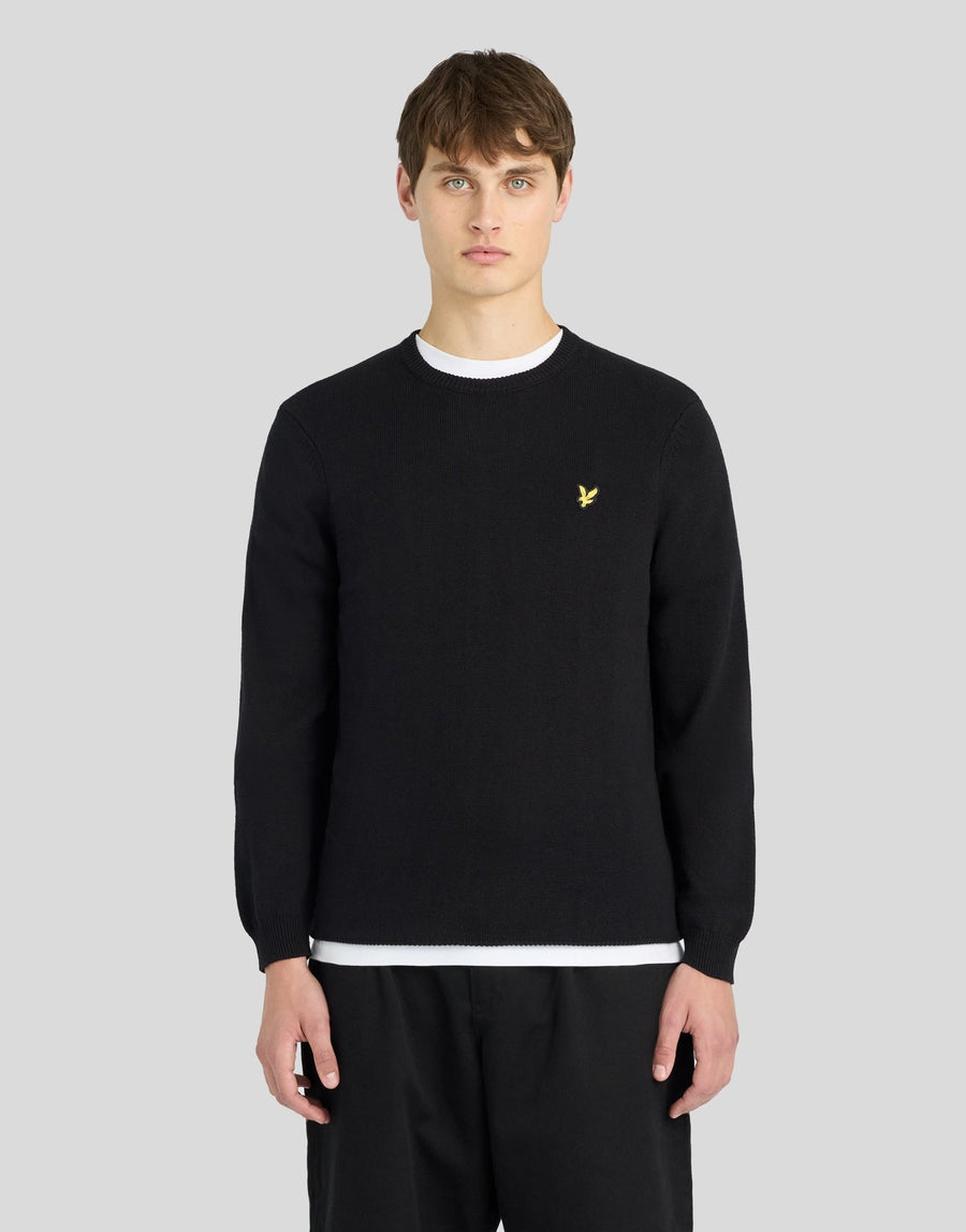 Man wears Cotton Merino Crew Neck Jumper in Jet Black
