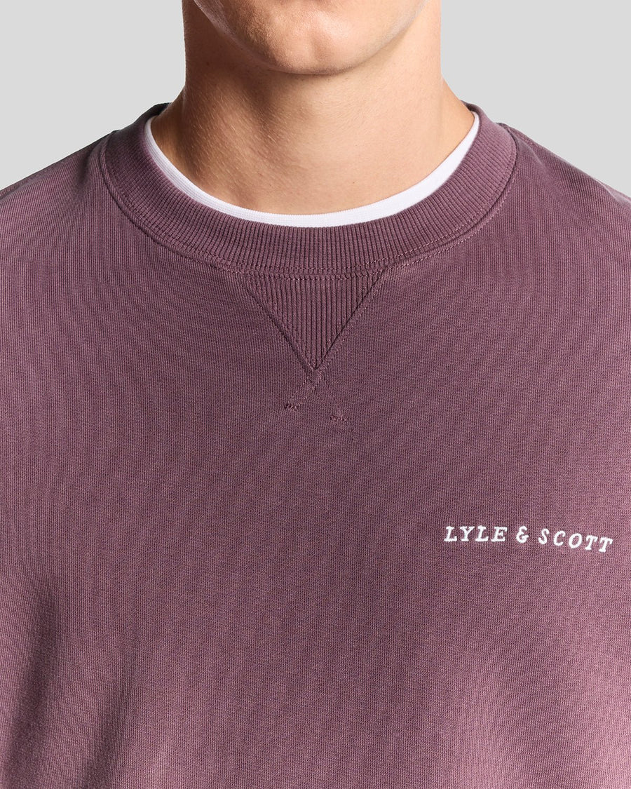 Homme portant un sweat-shirt en molleton Script Brushback, couleur marron foncé