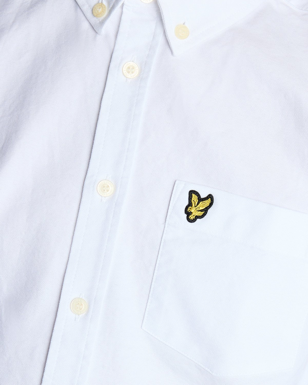 Un homme porte une chemise Oxford en coton à boutons, de couleur blanche